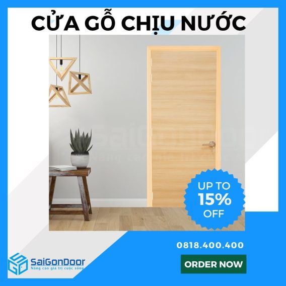 mau-cua-go-chong-nuoc-dep-2025-7